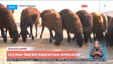 Шымкентте 13,5 млн теңгені мақсатсыз жұмсаған азамат сотталды
