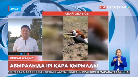 Абай облысында белгісіз індеттен ірі қара қырылып жатыр