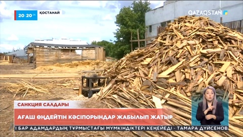 Қостанай: Ағаш кесетін кәсіпорындар жұмысын тоқтатты
