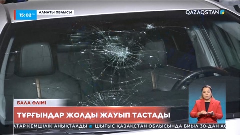 Алматы облысында 11 жастағы баланы көлік қағып кетті