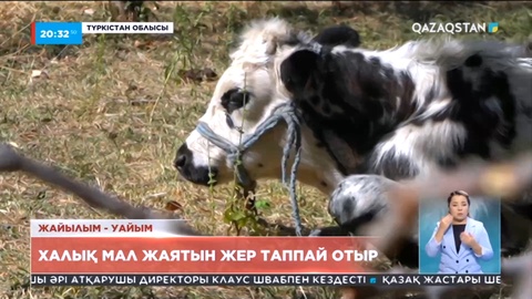 Түркістан облысының халқы мал жаятын жер таппай отыр