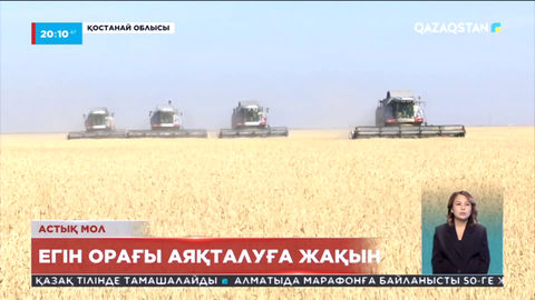 Қостанай облысында астық жинау науқаны аяқталуға жақын
