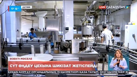 Ақтөбедегі сүт өңдеу цехына шикізат жетіспейді