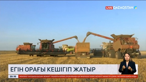 Павлодар облысында егін орағы кешігіп жатыр