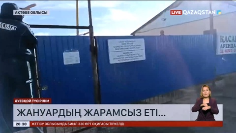 Ақтөбе әкімдігі «825 киіктің еті жарамсыз» деген ақпаратты жоққа шығарды