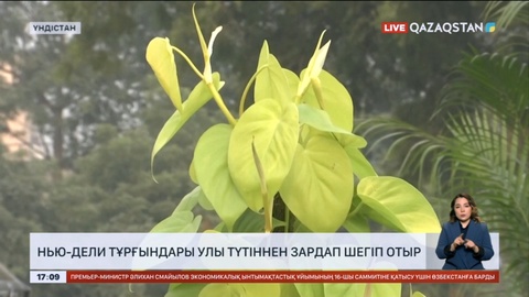 Нью-Дели тұрғындары улы түтіннен зардап шегіп отыр