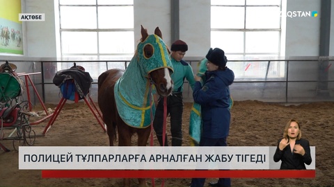 Ақтөбелік полицей тұлпарларға арналған жабу тігеді