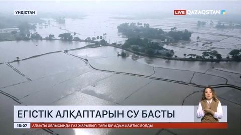 Үндістанда егістік алқаптарын су басты