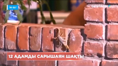 Шымкентте жыл басынан бері 12 адамды сарышаян шағып алды