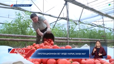 Түркістандық шаруалар шығынға баттық деп отыр