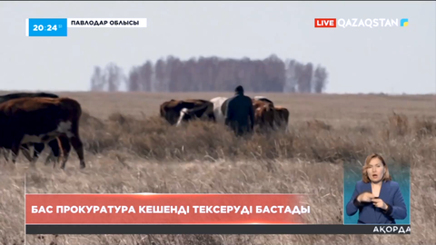 Павлодар облысының шаруалары мал жаятын жеріміз жоқ деп налиды