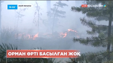 Абай облысындағы орман өрті әлі басылған жоқ