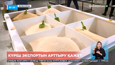 Сыр өңірінде өсетін күрішке шет мемлекеттерден сұраныс жоғары