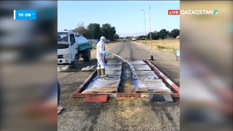 Жамбылда сібір жарасынан бір ауыл карантинге жабылды