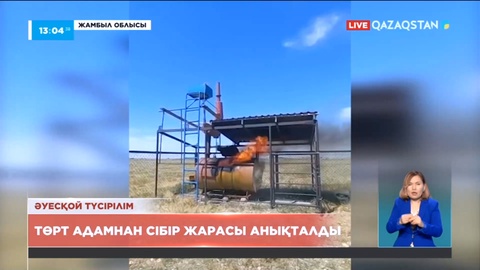 Жамбылда бір ауыл карантинге жабылды: 4 адамнан сібір жарасы анықталды