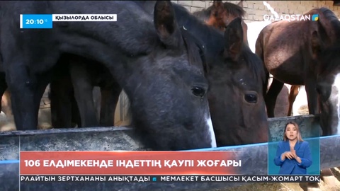 Қызылорда облысында 106 елді мекенде қырым қанды безгегінің қаупі жоғары