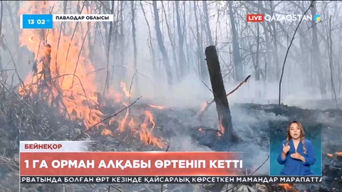 Павлодар облысында 1 га орман алқабы өртеніп кетті