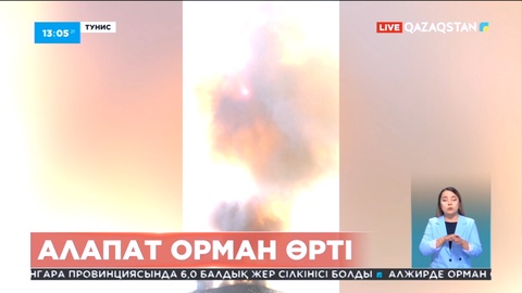 Тунистің солтүстігінде орман өрті тұтанды