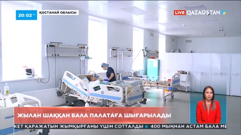 Қостанай облысында жылан шаққан баланың жағдайы жақсарды