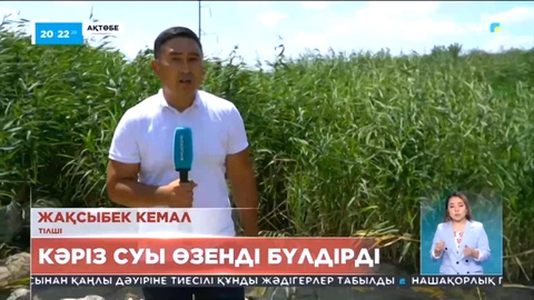 Ақтөбеде экологиялық апат