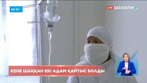 Қызылорда облысында кене шаққан екі адам қайтыс болды