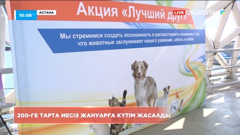 Астанада 200-ге тарта иесіз жануарға күтім жасалды