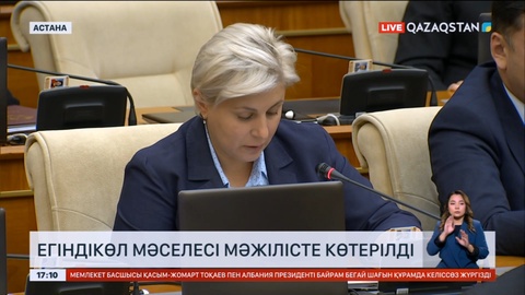 Егіндікөл мәселесі Мәжілісте көтерілді