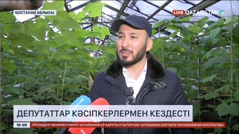 Мәжіліс депутаттары Қостанай облысындағы кәсіпкерлік нысандарды аралады