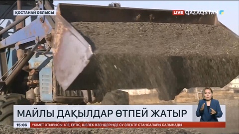 Қостанай облысында майлы дақылдар өтпей жатыр