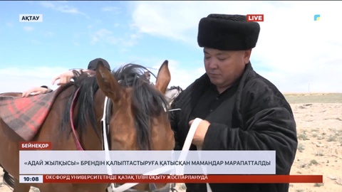 Ақтауда «Адай жылқысы» брендін қалыптастыруға қатысқан мамандар марапатталды