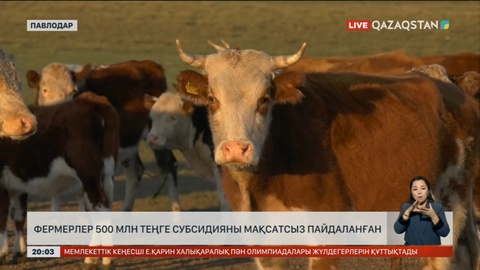 Павлодарлық фермерлер 500 млн теңге субсидияны мақсатсыз пайдаланған