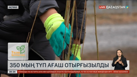 Ақтөбе облысында 350 мың түп ағаш отырғызылды