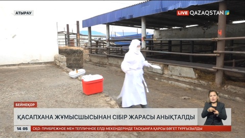 Атырауда қасапханадағы жұмысшыдан сібір жарасы анықталды
