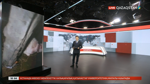 Қызылорда облысында белгісіз жыртқыш қорадағы малды қырып кетті