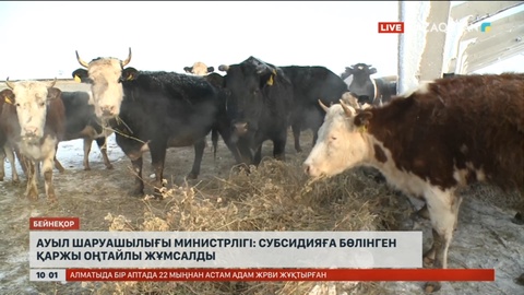 Ауыл шаруашылығы министрлігі: Субсидияға бөлінген қаржы оңтайлы жұмсалды