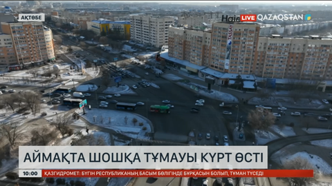 Ақтөбе облысында шошқа тұмауымен ауыратындардың саны күрт өсті