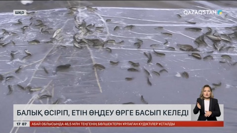 Шығыста биыл 2 200 тонна балық еті өңделді