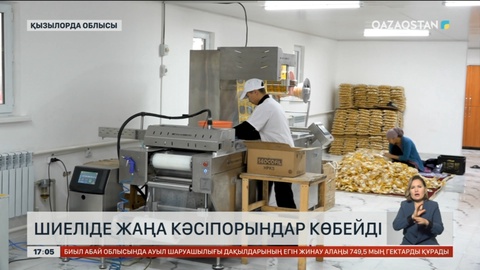 Қызылорда облысында жаңа кәсіпорындар көбейіп келеді