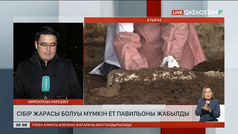Атырауда орталық базардан сібір жарасын жұқтырған мал еті табылды