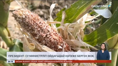 Президент: Су министрлігі ойдағыдай нәтиже берген жоқ