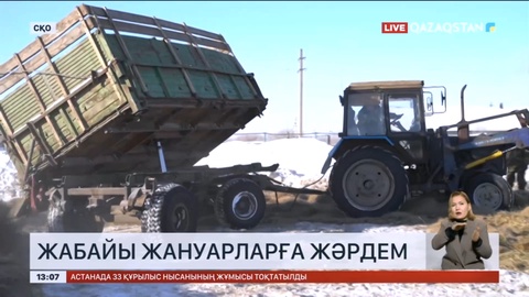 СҚО-да қорықшылар жабайы жануарларды қолдан азықтандырып жүр
