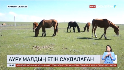 Жамбыл облысында ауру малдың еті базарда сатылған