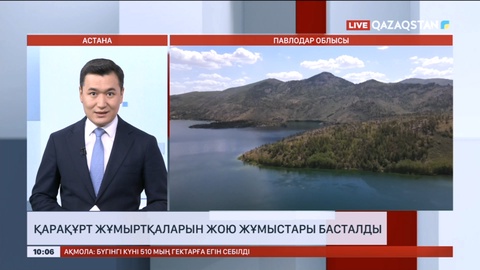 Павлодар облысында қарақұрт жұмыртқаларын жою жұмыстары басталды