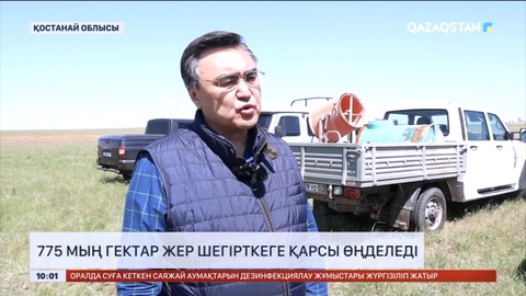 Қостанай облысында шегірткеге қарсы 775 мың гектар жер өңделеді
