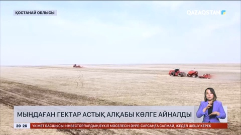 Қостанай облысында мыңдаған гектар астық алқабы көлге айналды