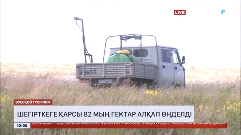 Қостанай облысында шегірткеге қарсы 82 мың гектар алқап өңделді