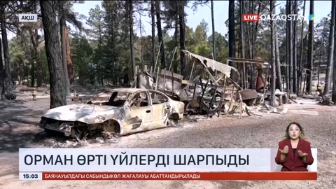 АҚШ-тың Нью-Мексика штатында орман өрті үйлерді шарпыды