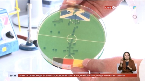 EURO 2024: Германия Шотландияны жеңеді - болжам