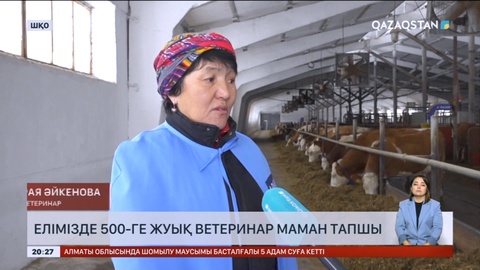 Елімізде 500-ге жуық ветеринар маман тапшы