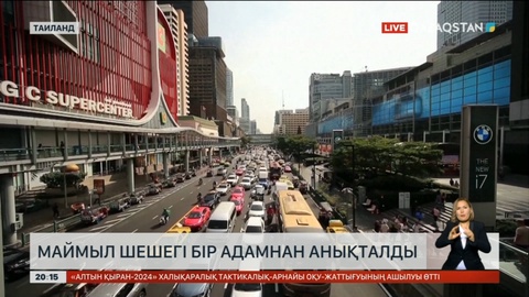 Таиландта маймыл шешегі бір адамнан анықталды